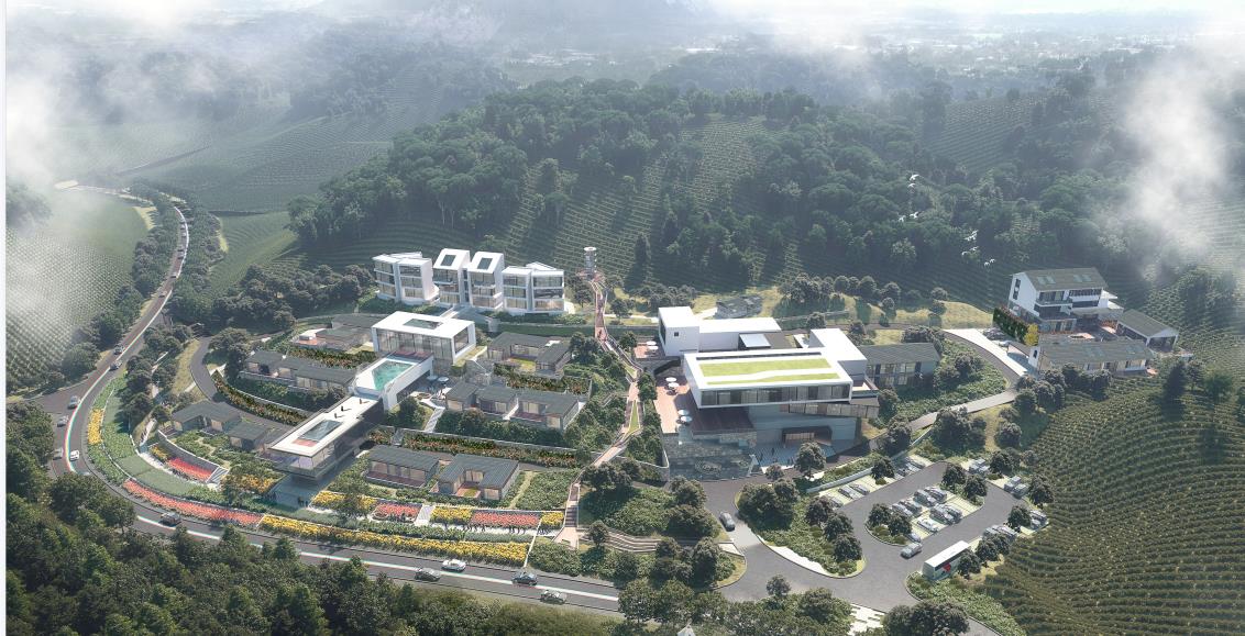 糖果派对官网-追求康健,你我一起生长