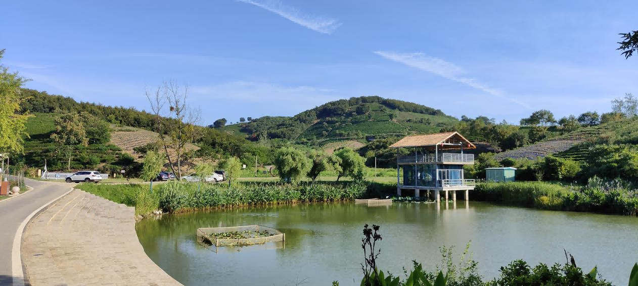 走好品质提升要害一步，，，，，夯实工业生长康健基础