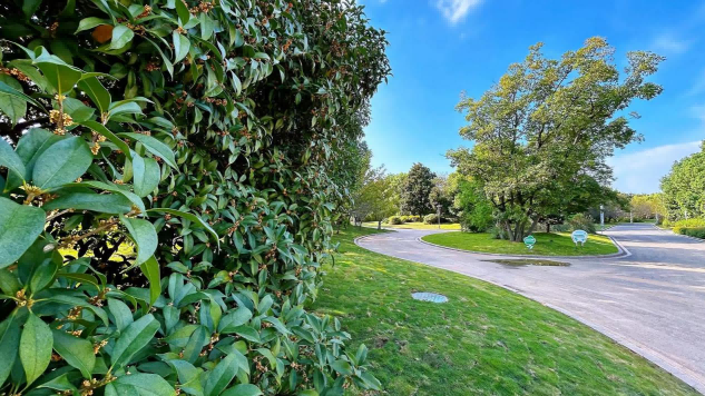 糖果派对官网-追求康健,你我一起生长