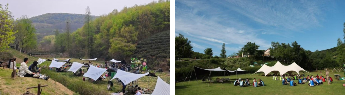 糖果派对官网-追求康健,你我一起生长